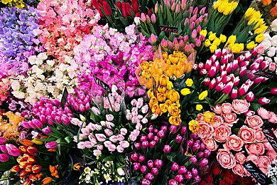 《鬼武者：剑之道》中文PV 海量截图和幻魔细节